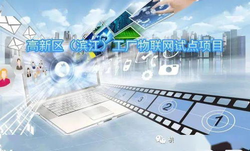 關于征集2021年度高新區濱江工廠物聯網試點項目的通知
