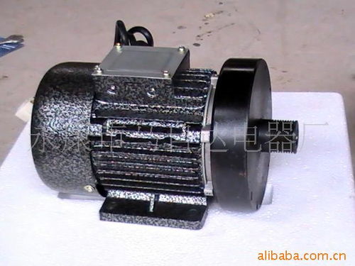 永康市王敏直流電機(jī)廠 小電機(jī)里的澎湃動(dòng)力之源